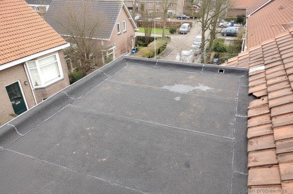 Dakdekker In Najaar Leeuwarden
