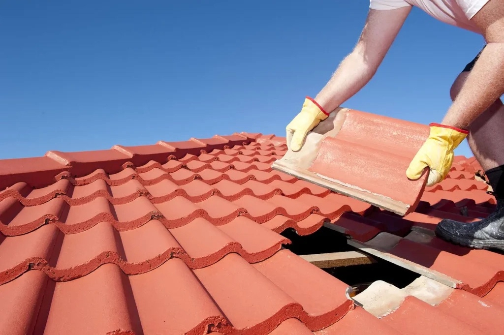 Subsidies Voor Dakrenovatie